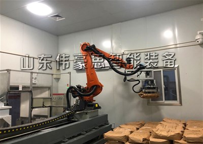 湖北紙袋自動碼垛機(jī)器人 移動式全自動碼垛機(jī)現(xiàn)場